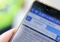 网约车司机：搞不下去了！上海、广州、贵阳等多地开启大数据精准执法